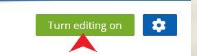 Turn editing on